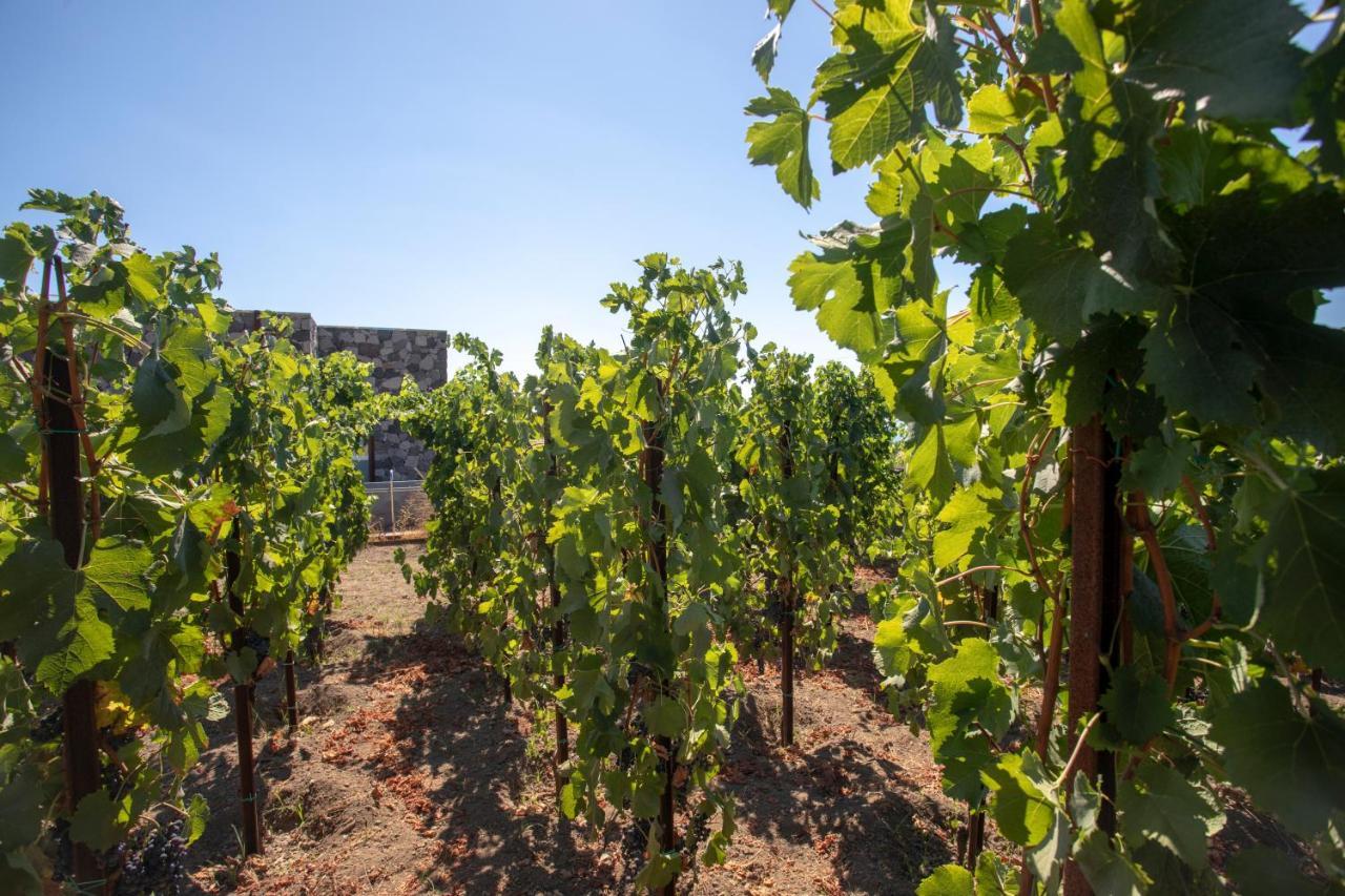Tenuta Di Castellaro Winery & Resort Lipari  Exterior foto